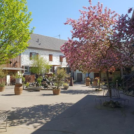 Besondere Ferienwohnung Spirit Auf Idyllischem Reiterhof Nahe Burg Eltz Münstermaifeld Zewnętrze zdjęcie