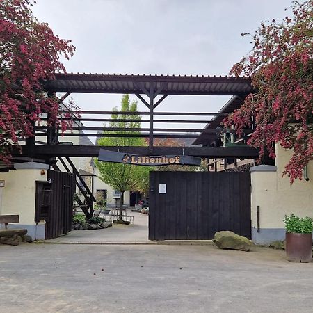Besondere Ferienwohnung Spirit Auf Idyllischem Reiterhof Nahe Burg Eltz Münstermaifeld Zewnętrze zdjęcie
