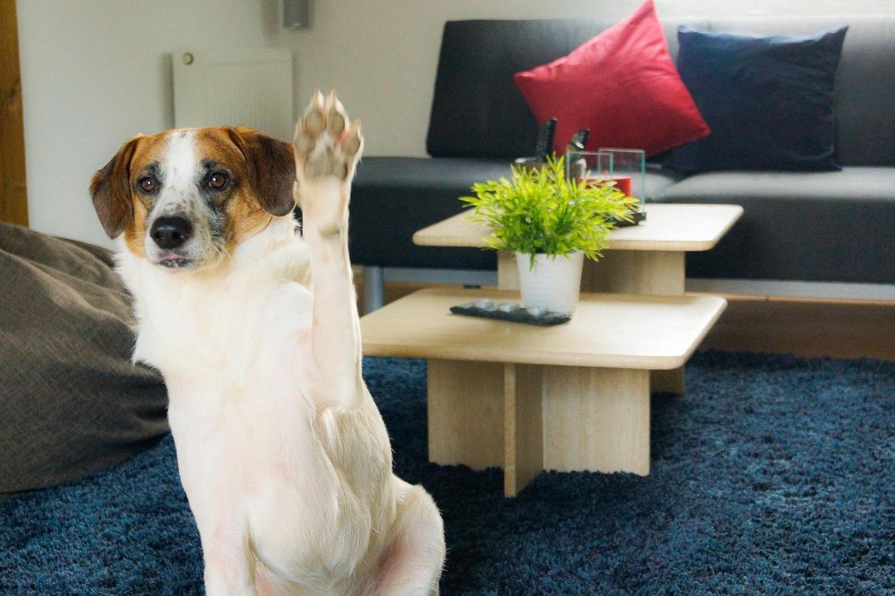 Besondere Ferienwohnung Spirit Auf Idyllischem Reiterhof Nahe Burg Eltz Münstermaifeld Zewnętrze zdjęcie