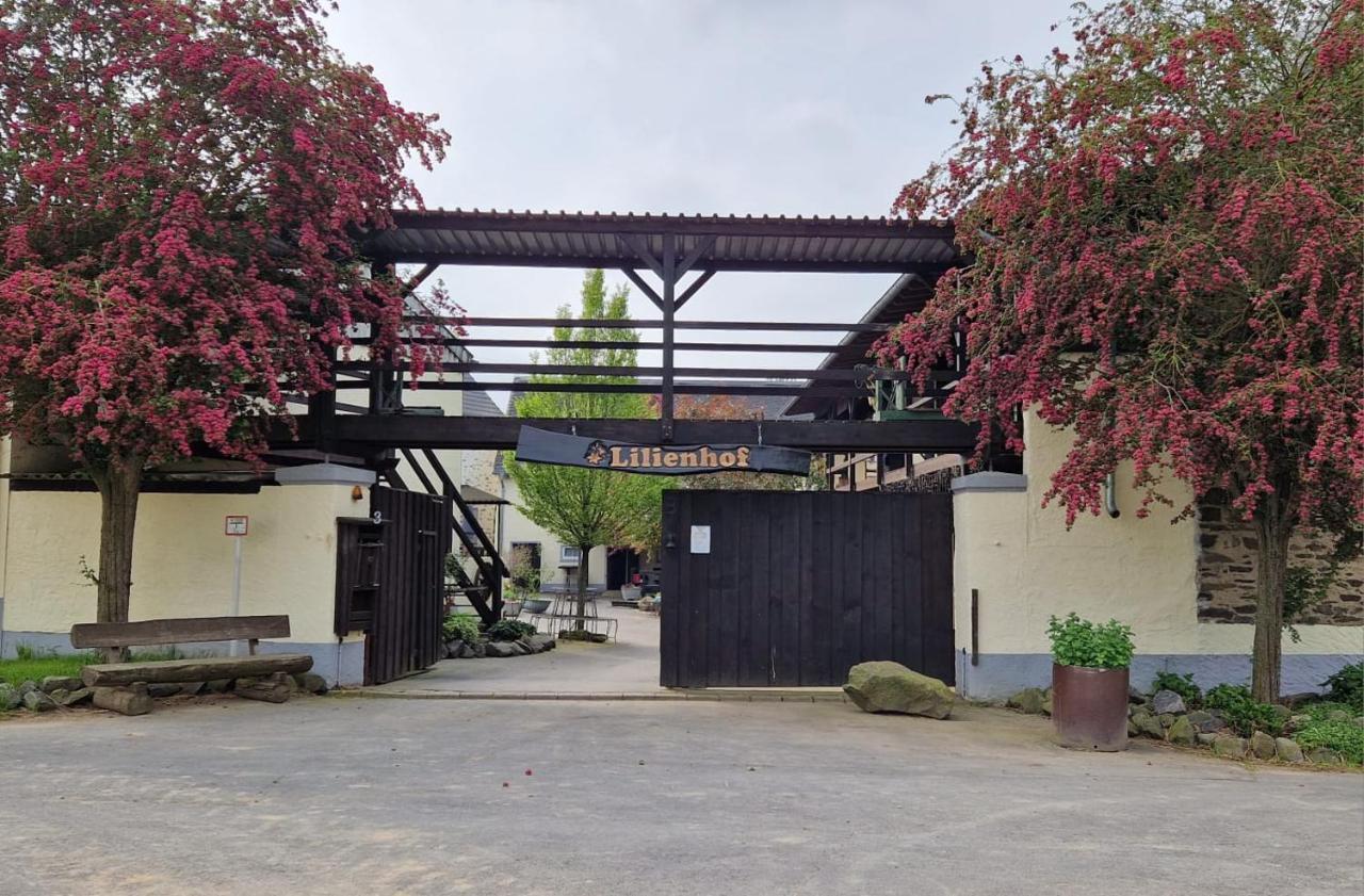 Besondere Ferienwohnung Spirit Auf Idyllischem Reiterhof Nahe Burg Eltz Münstermaifeld Zewnętrze zdjęcie